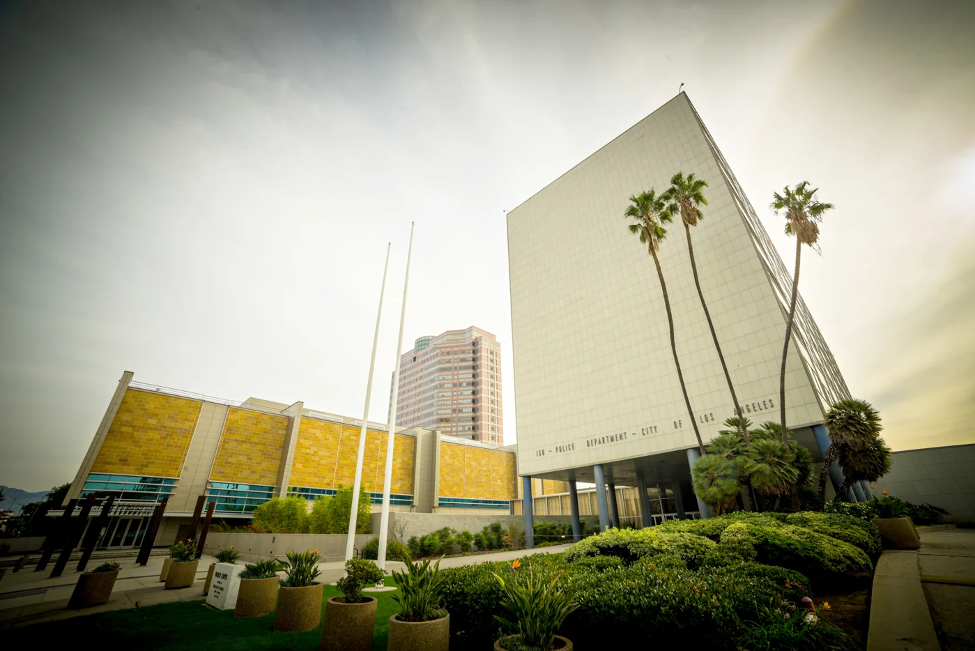 Los Angeles Stopover — archive photograph 4