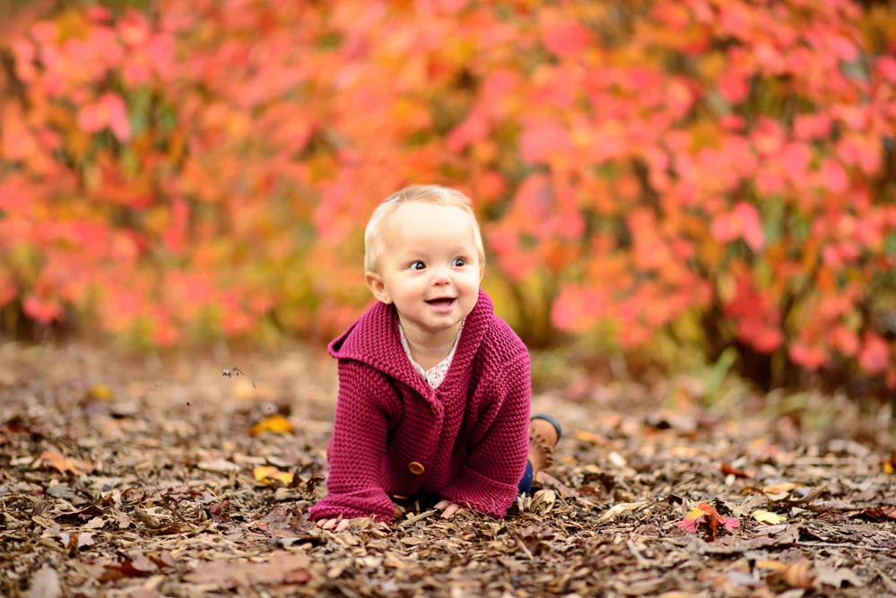 Brookside Gardens: Baby Portrait — archive photograph 1