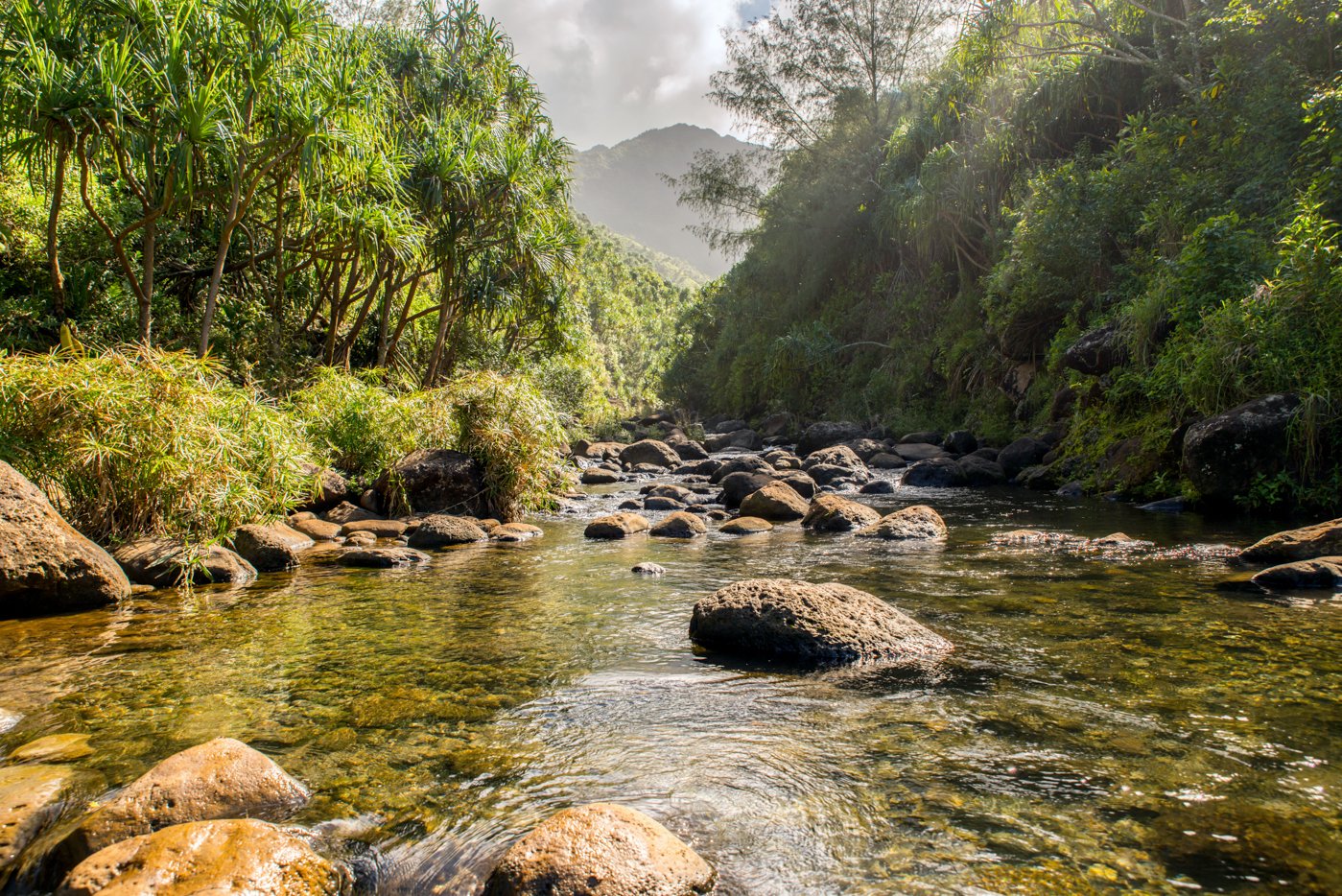 Hanakapai'ai Stream on the Kalalau Trail